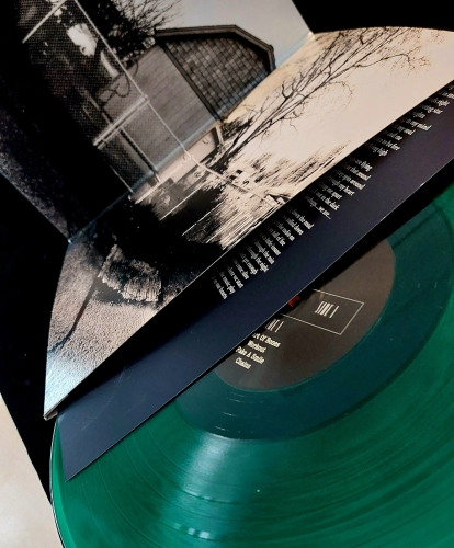 Daily Thompson - Glue - LP (Limited Edition Colored Vinyl)