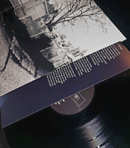 Daily Thompson - Glue - LP