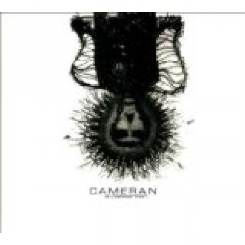 Cameran - A caesarean