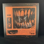 Red Mess - Hi-Tech Starvation - LP - SIGNIERTE Erstauflage Red Colored Vinyl (+Lyricsheet)