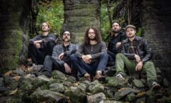 Bandfoto Crimson Oak 2