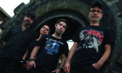Fogdriver Bandfoto Querformat 1